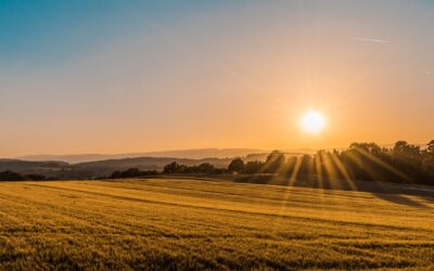 Special Institute on Solar Power